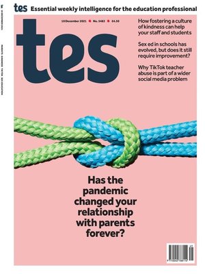 cover image of Tes